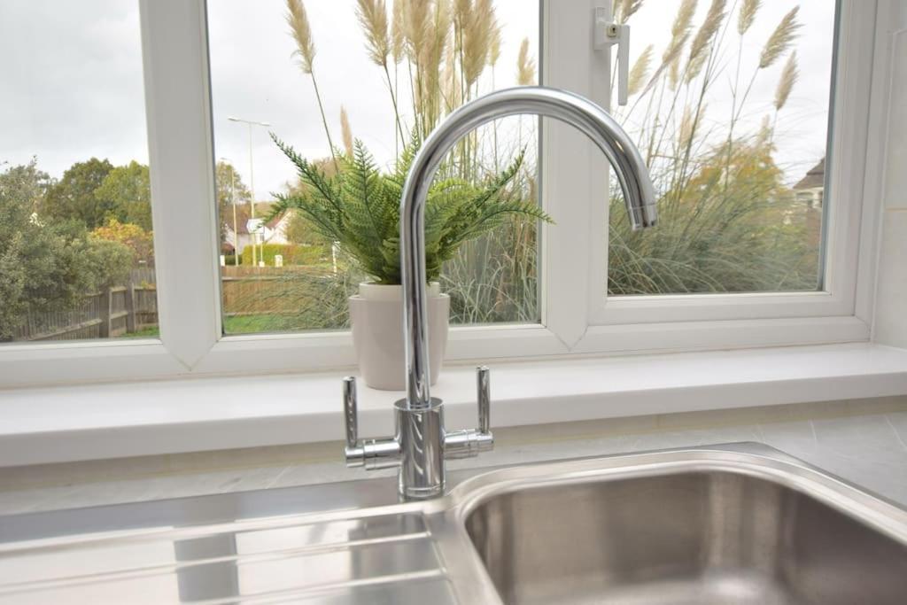 Luxury Central Oxford Detached Home エクステリア 写真